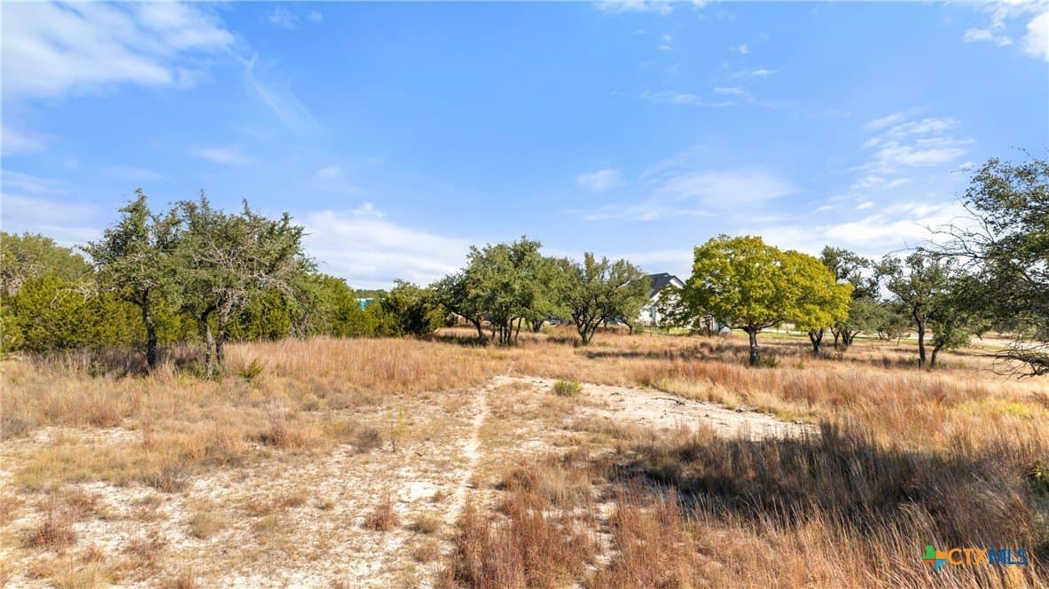 5.01 acres in Blanco County - photo 21