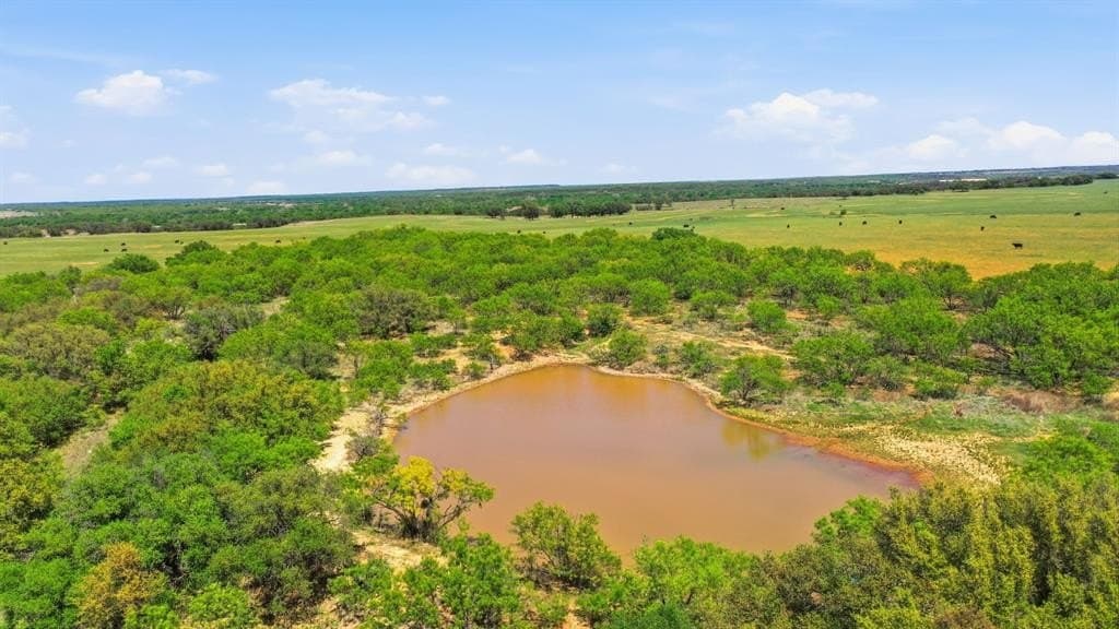 292 acres in Young County featured view