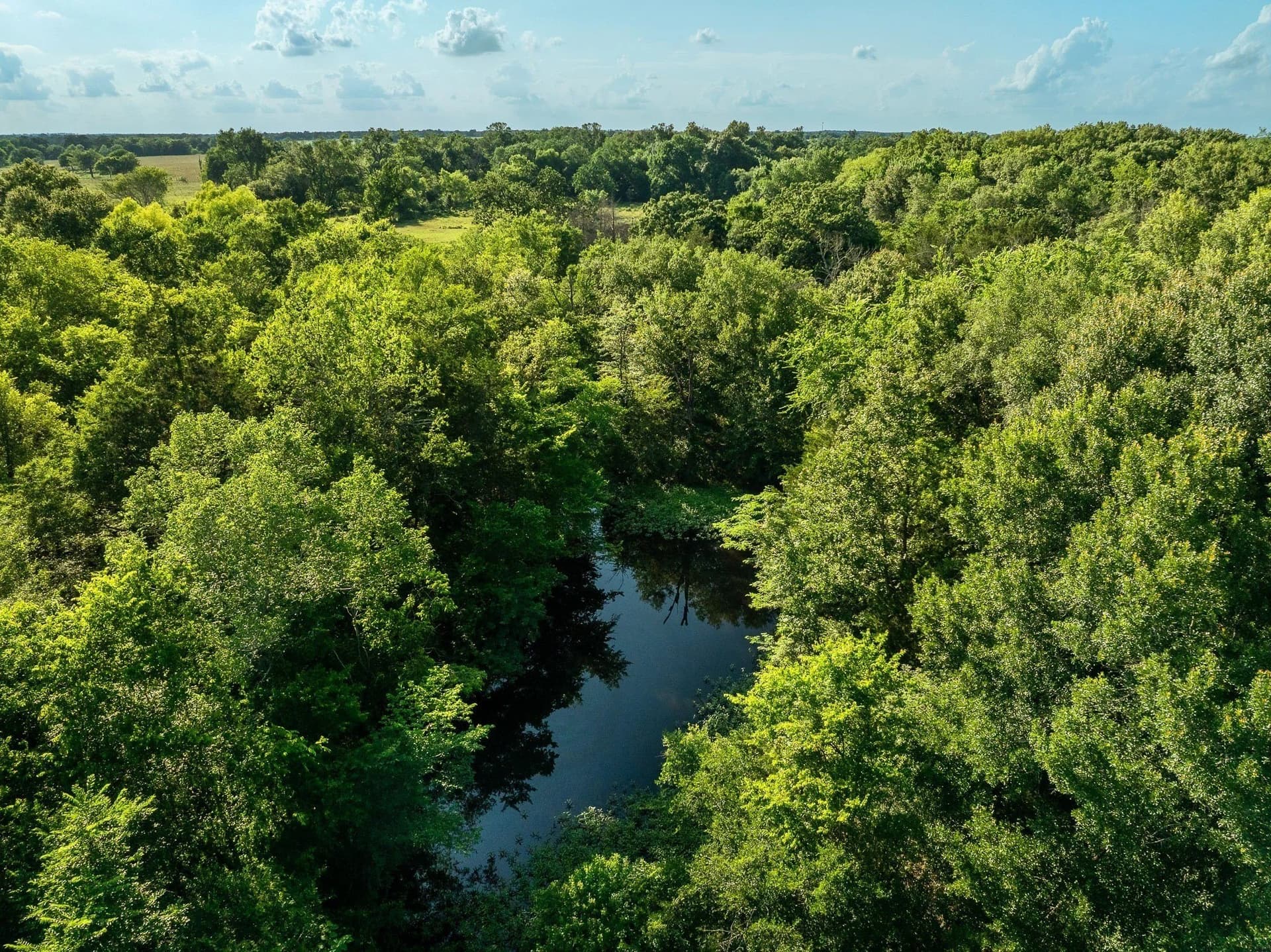 79.8 acres in Madison (TX) County gallery image 4