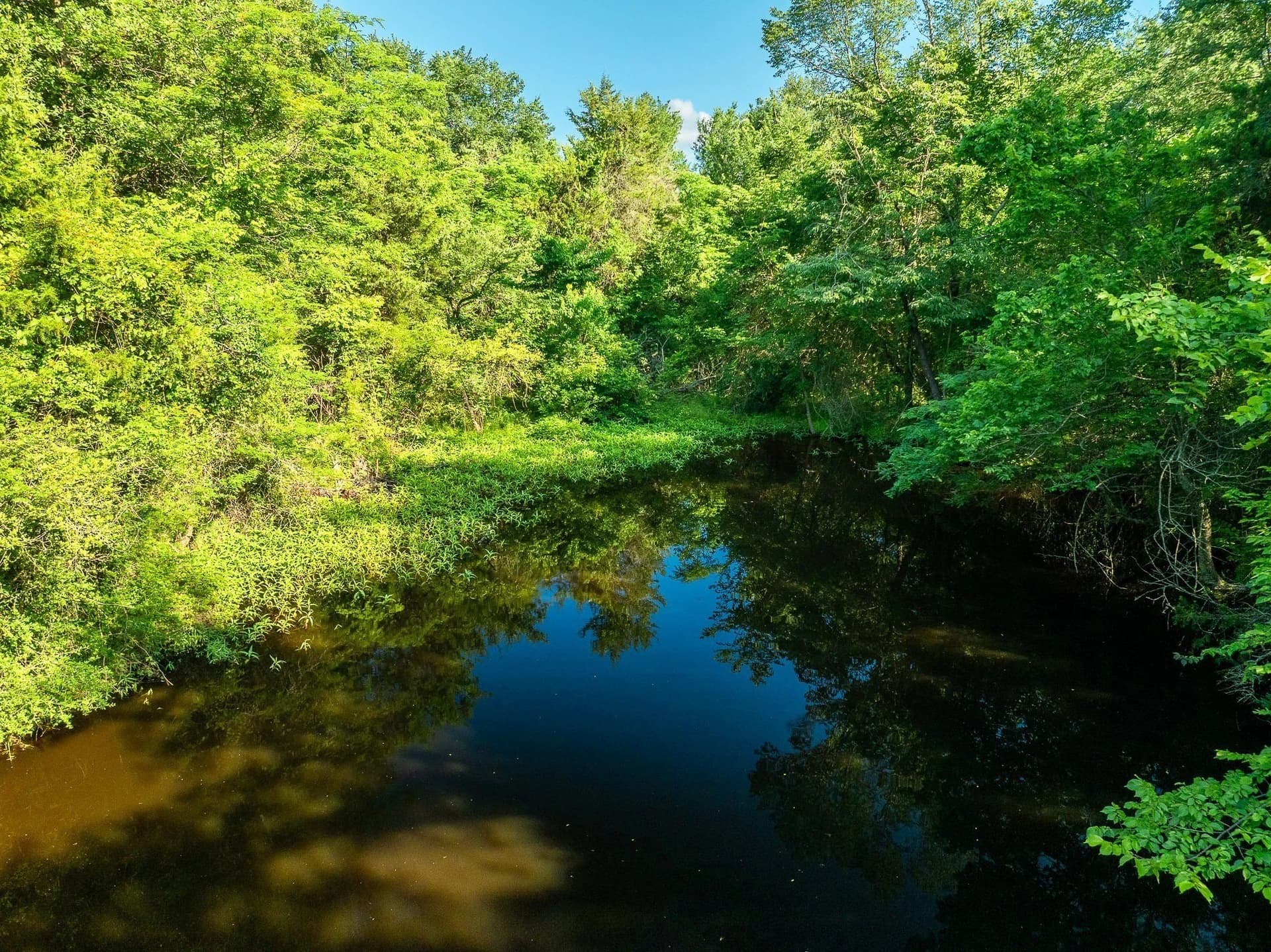 79.8 acres in Madison (TX) County - photo 11