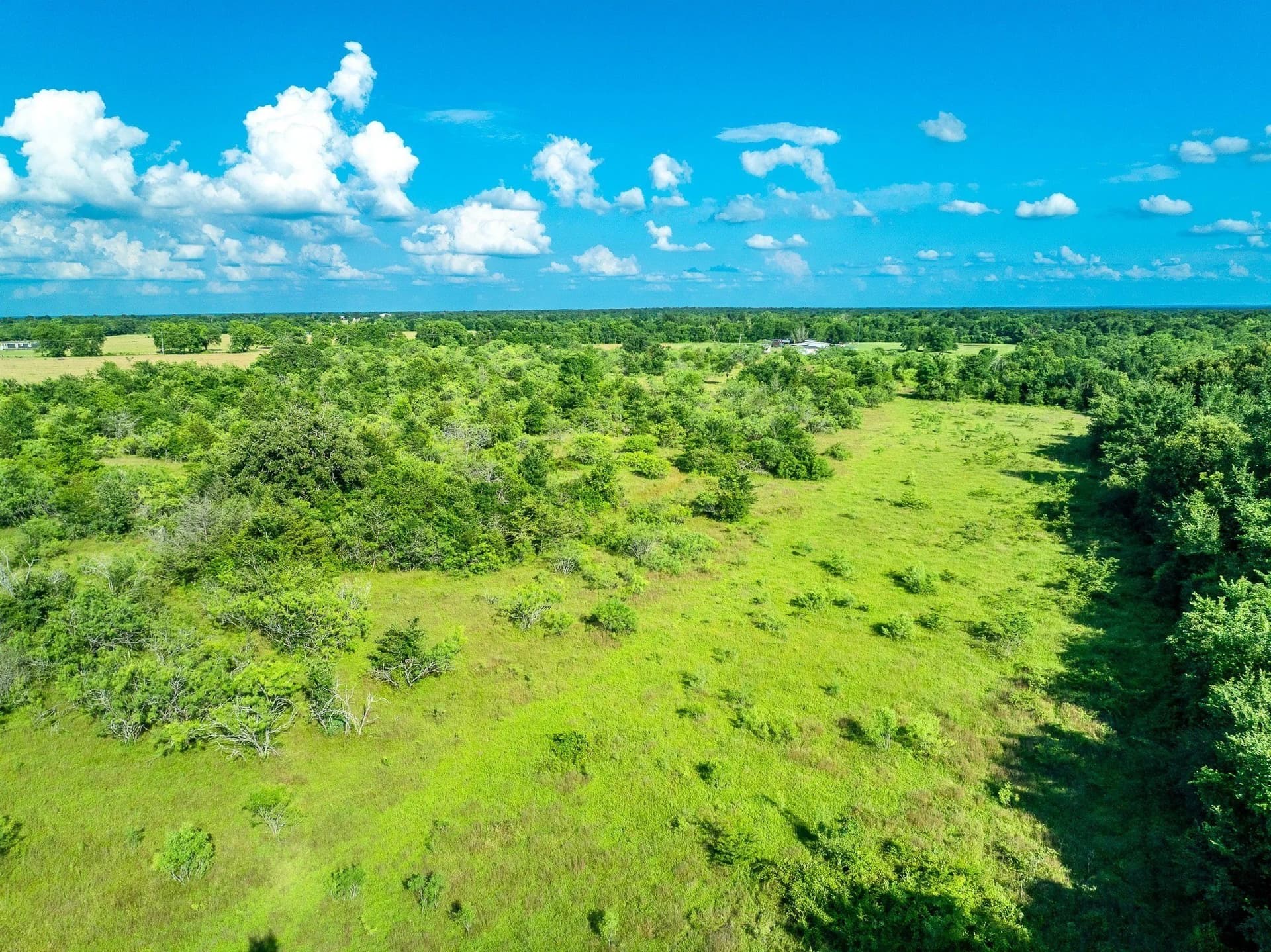 79.8 acres in Madison (TX) County - photo 21