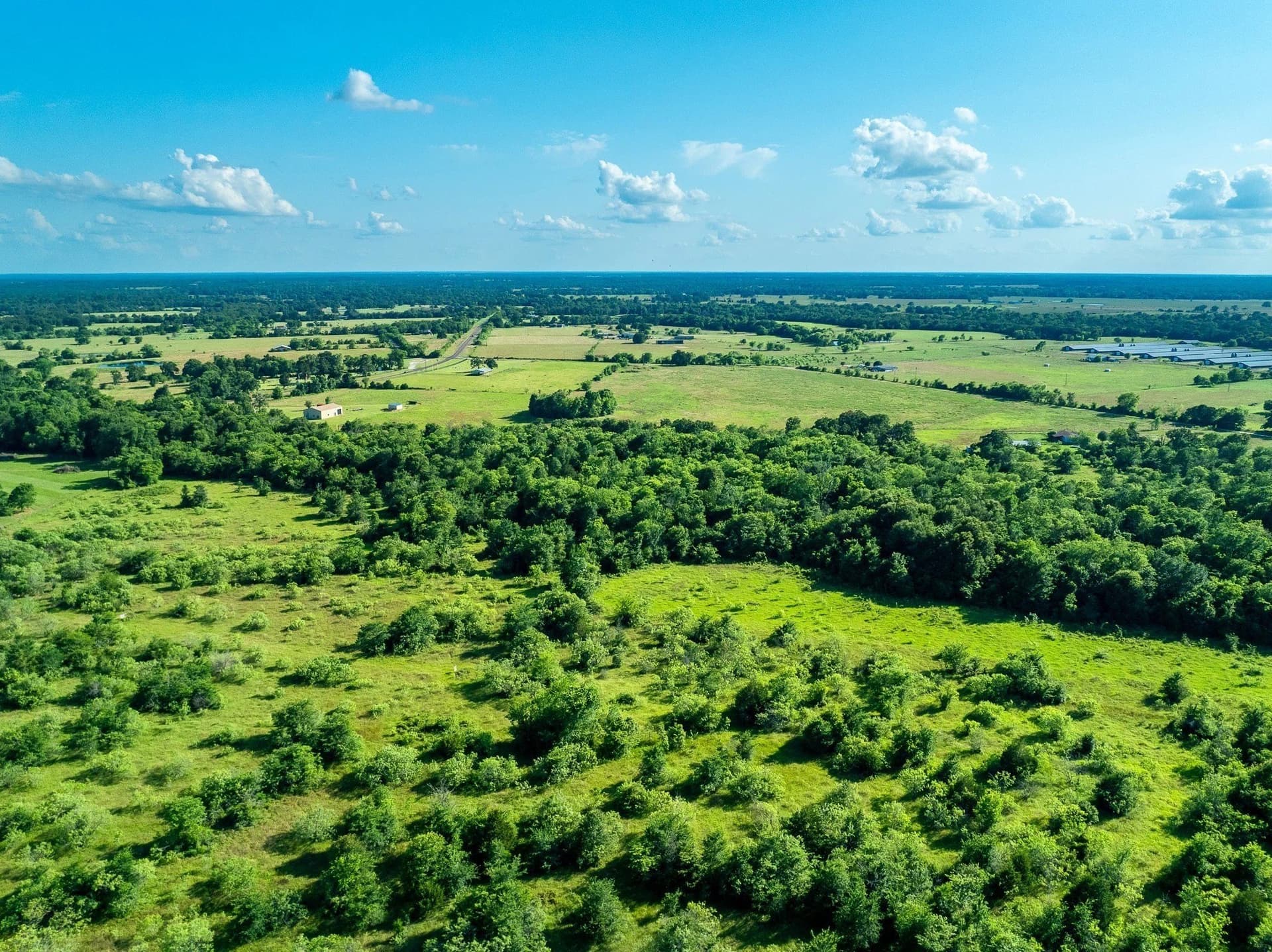 79.8 acres in Madison (TX) County - photo 18