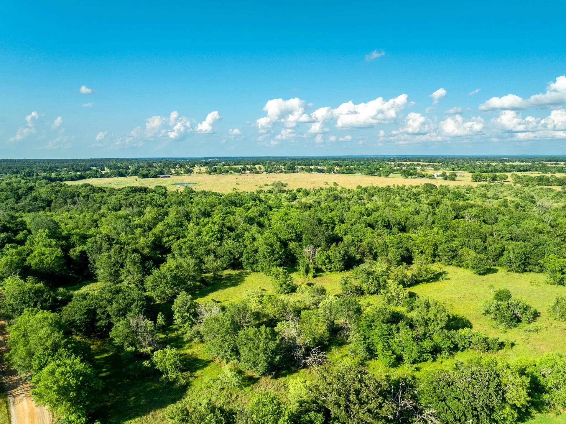 79.8 acres in Madison (TX) County - photo 13