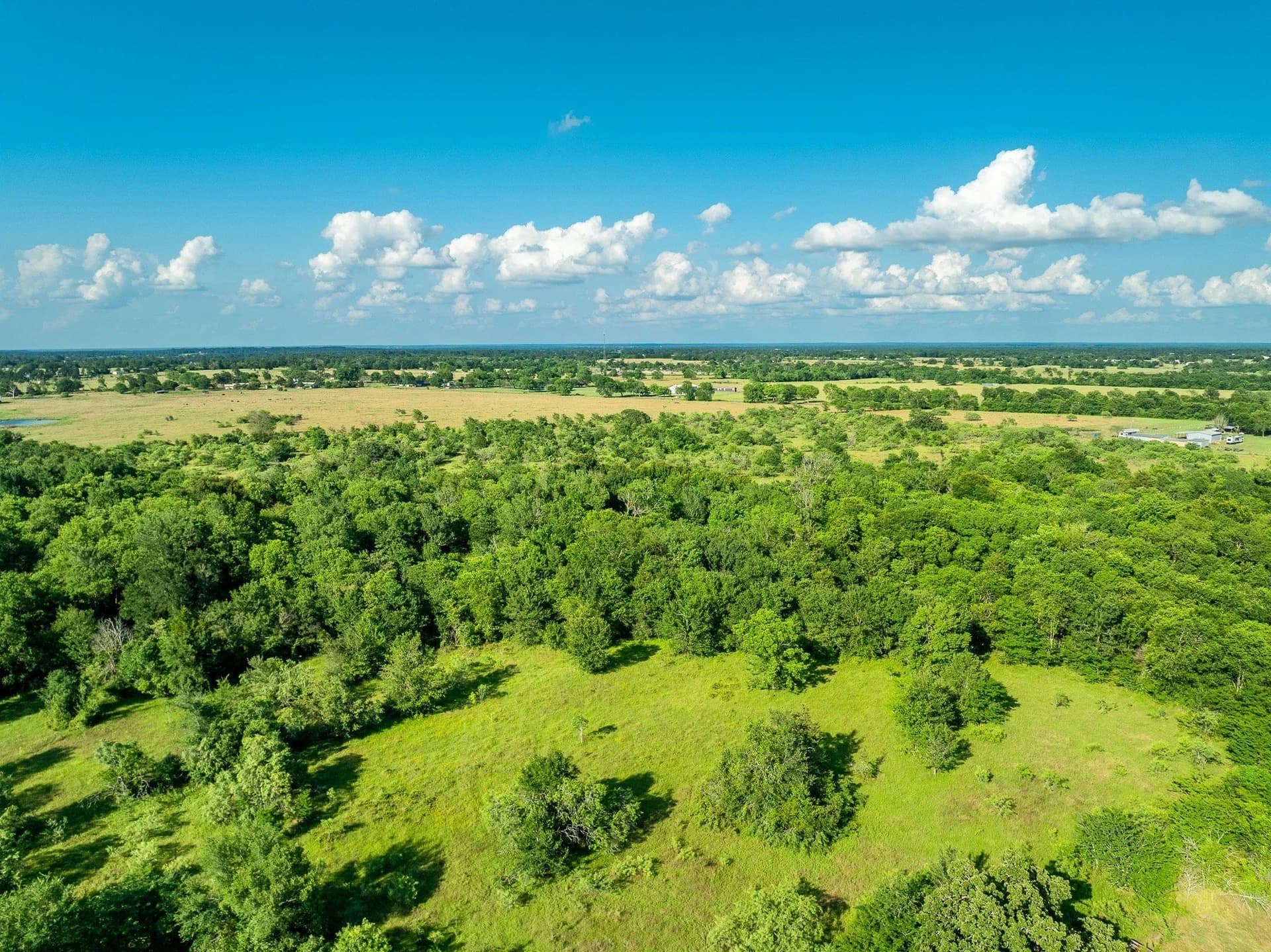 79.8 acres in Madison (TX) County