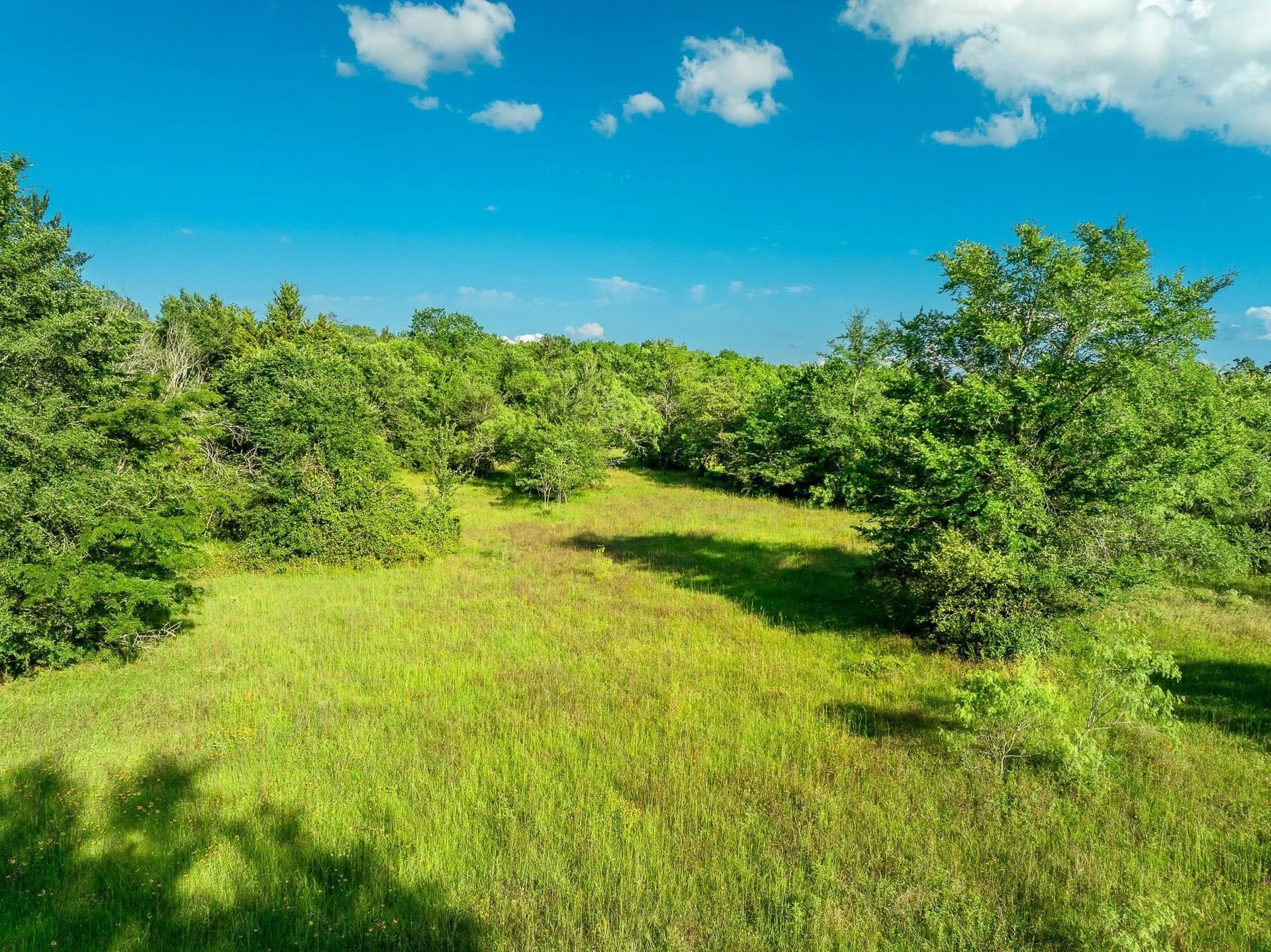 79.8 acres in Madison (TX) County gallery image 2