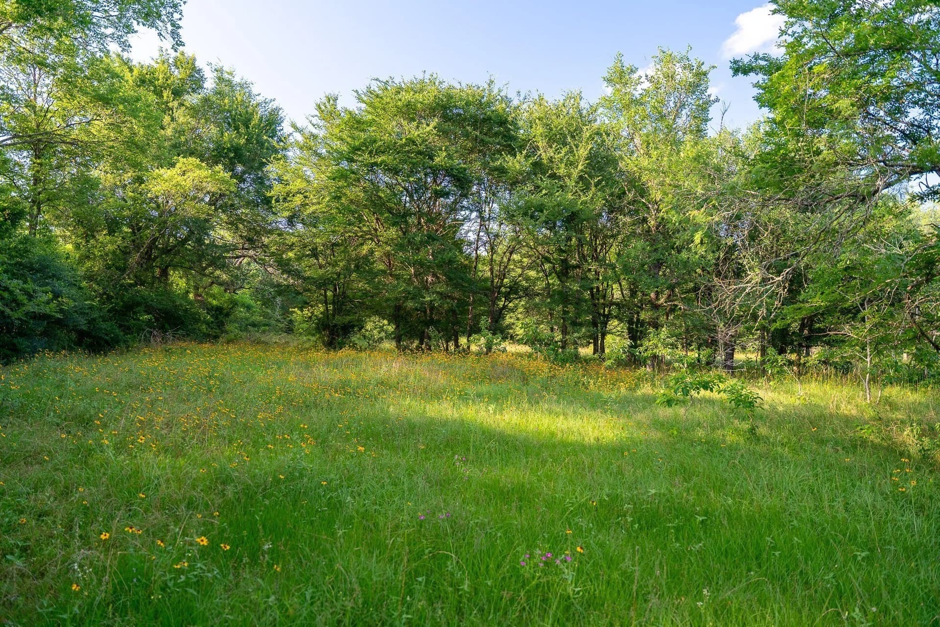 79.8 acres in Madison (TX) County - photo 24