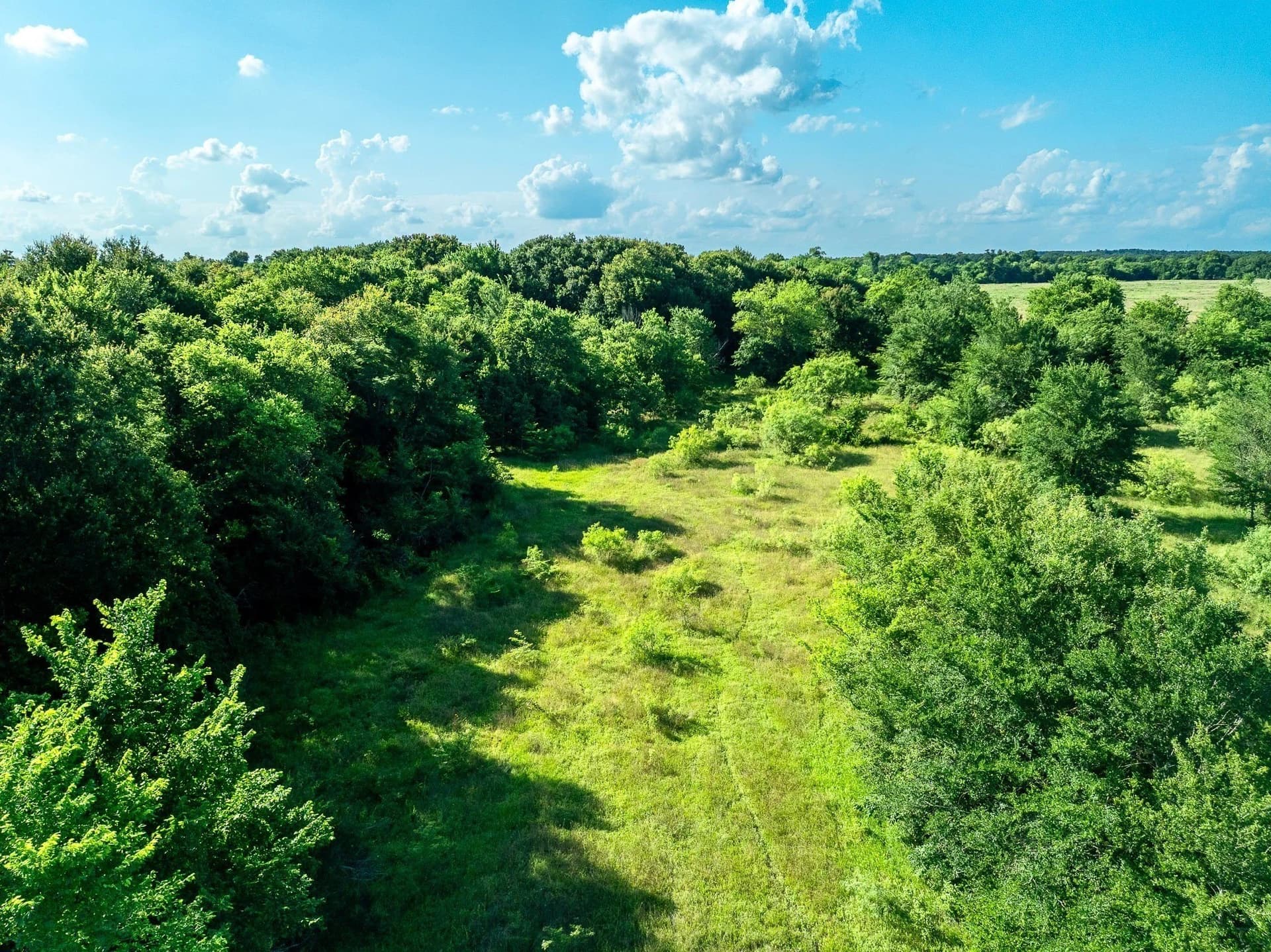 79.8 acres in Madison (TX) County - photo 19