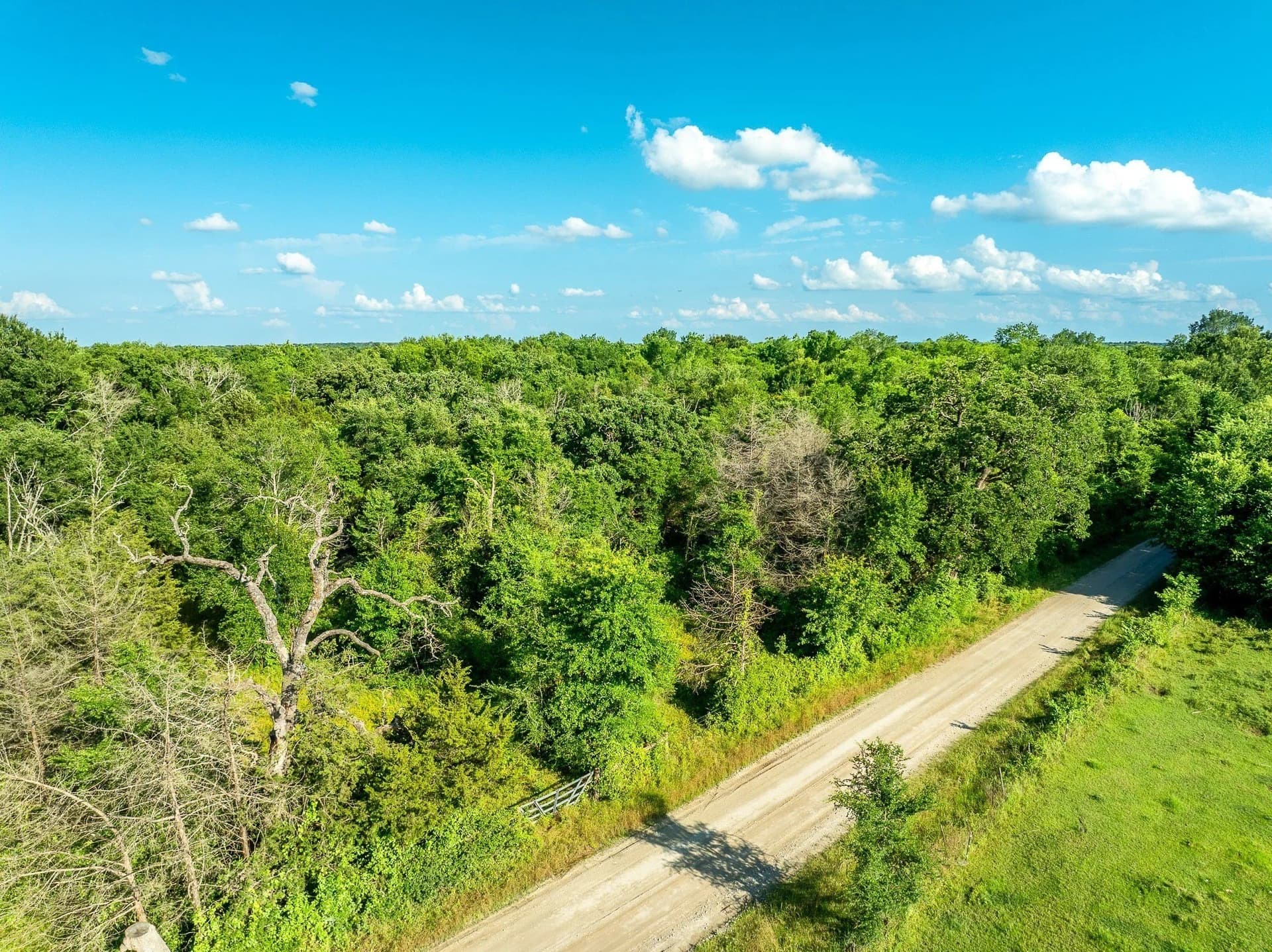 79.8 acres in Madison (TX) County - photo 12