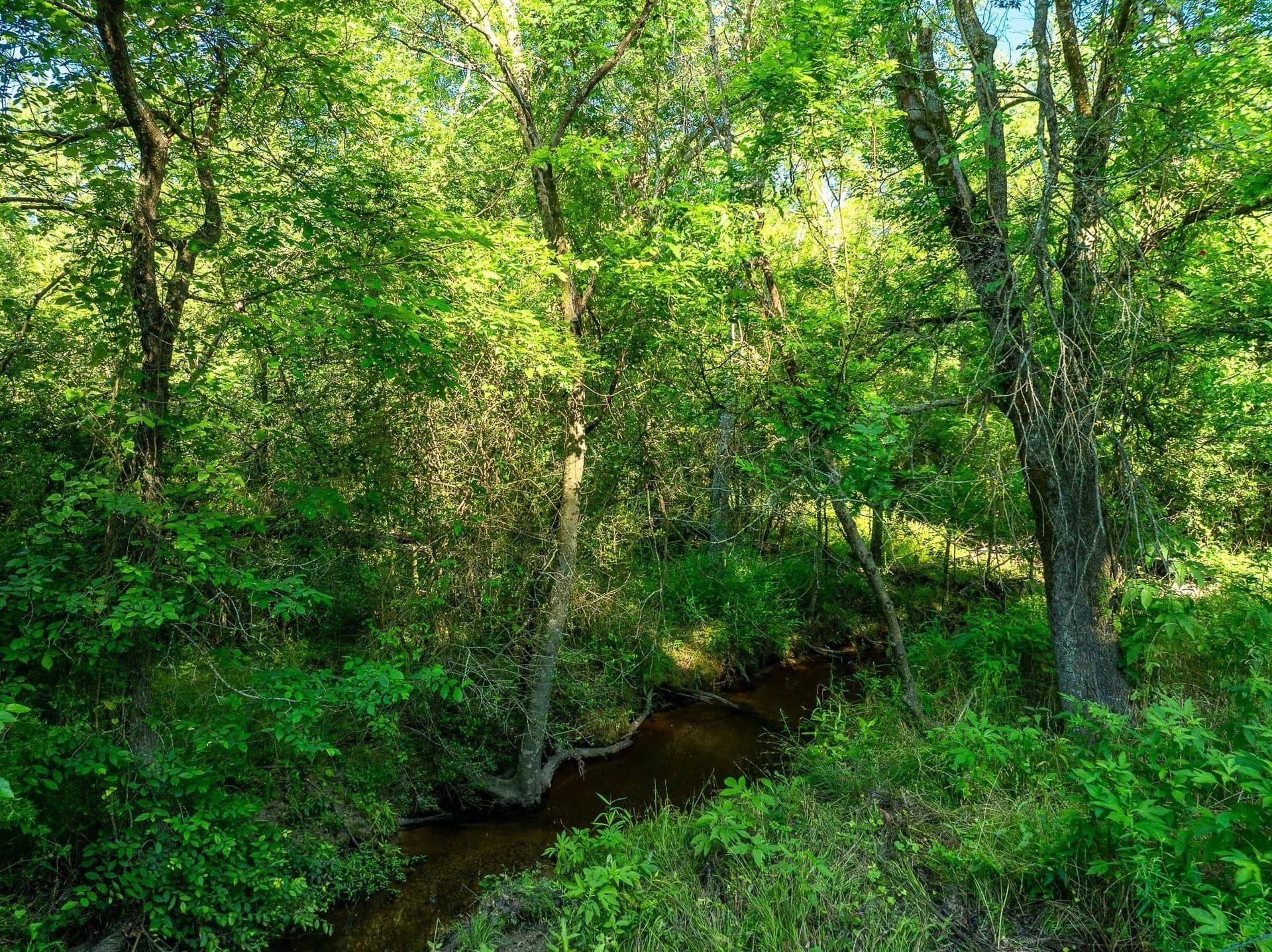 79.8 acres in Madison (TX) County - photo 17