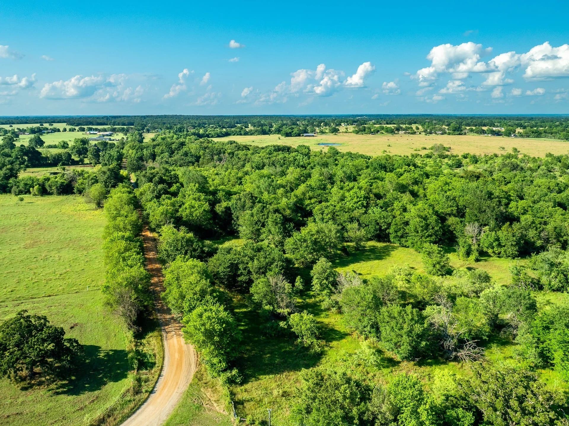 79.8 acres in Madison (TX) County - photo 15