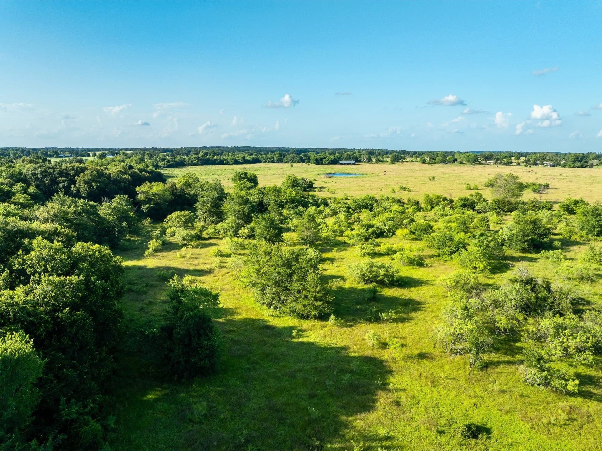 79.8 acres in Madison (TX) County - photo 9