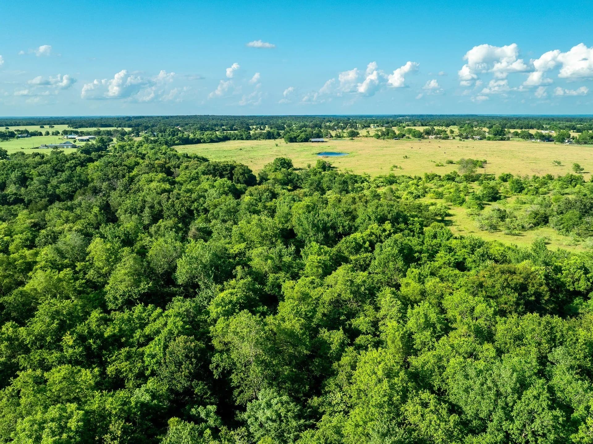 79.8 acres in Madison (TX) County - photo 16
