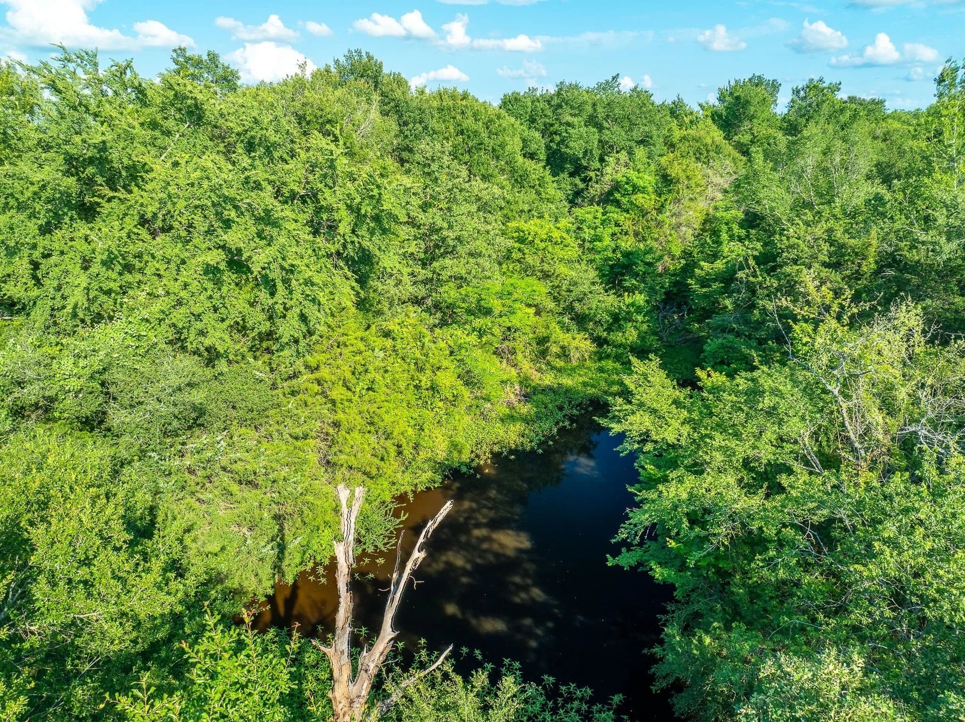 79.8 acres in Madison (TX) County - photo 20
