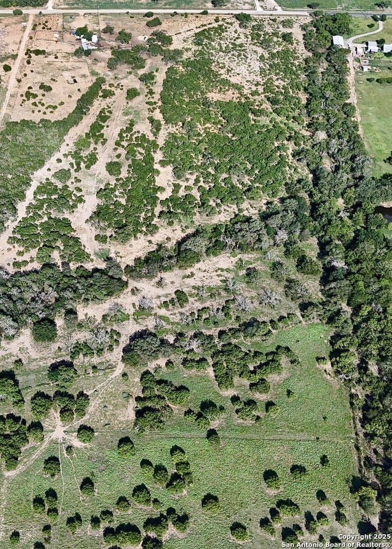 17.43 acres in Bexar County gallery image 4