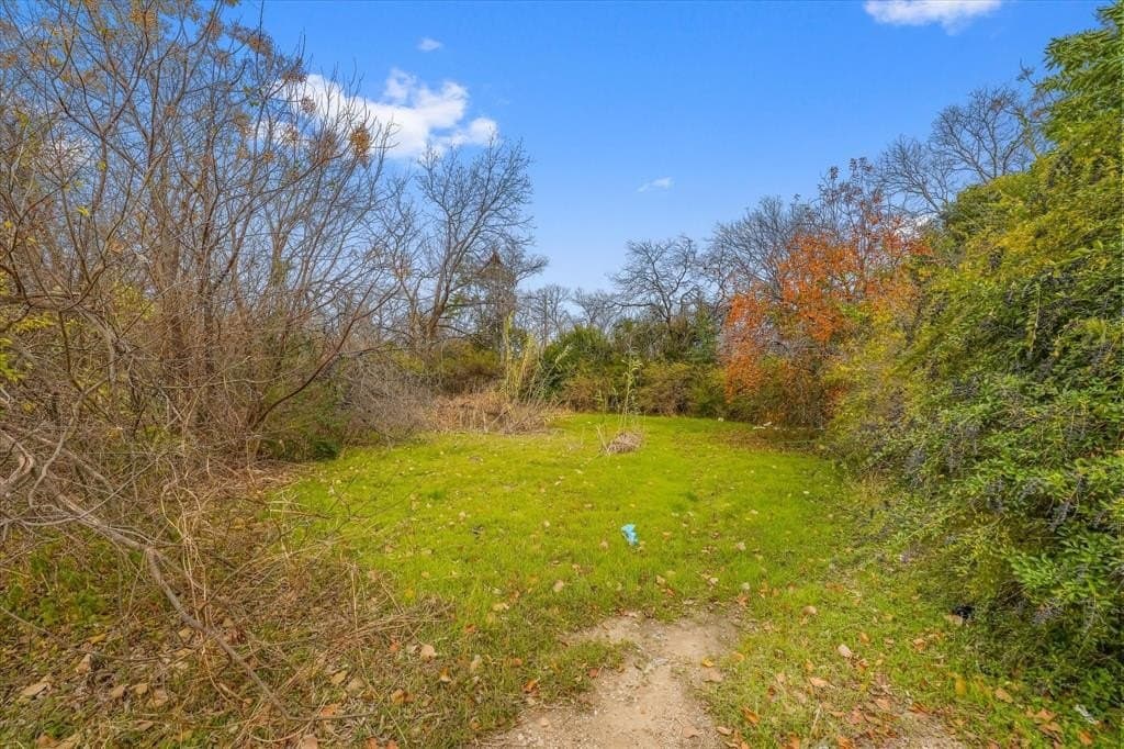 0.11 acres in Dallas County gallery image 2