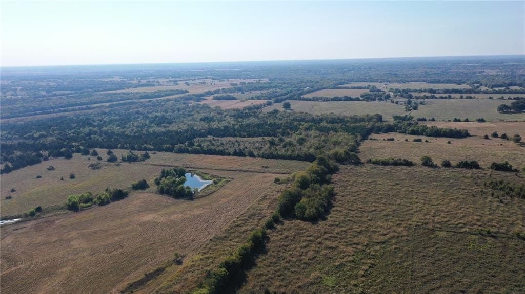 66.92 acres in Fannin County gallery image 3