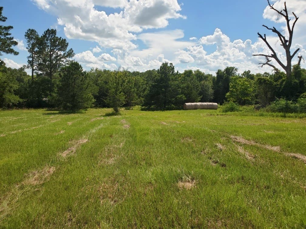 3.73 acres in Rains County - photo 6