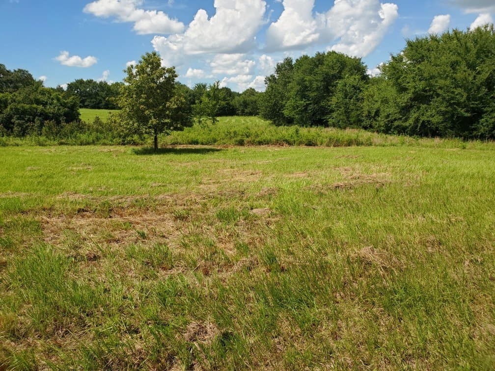 3.73 acres in Rains County - photo 5