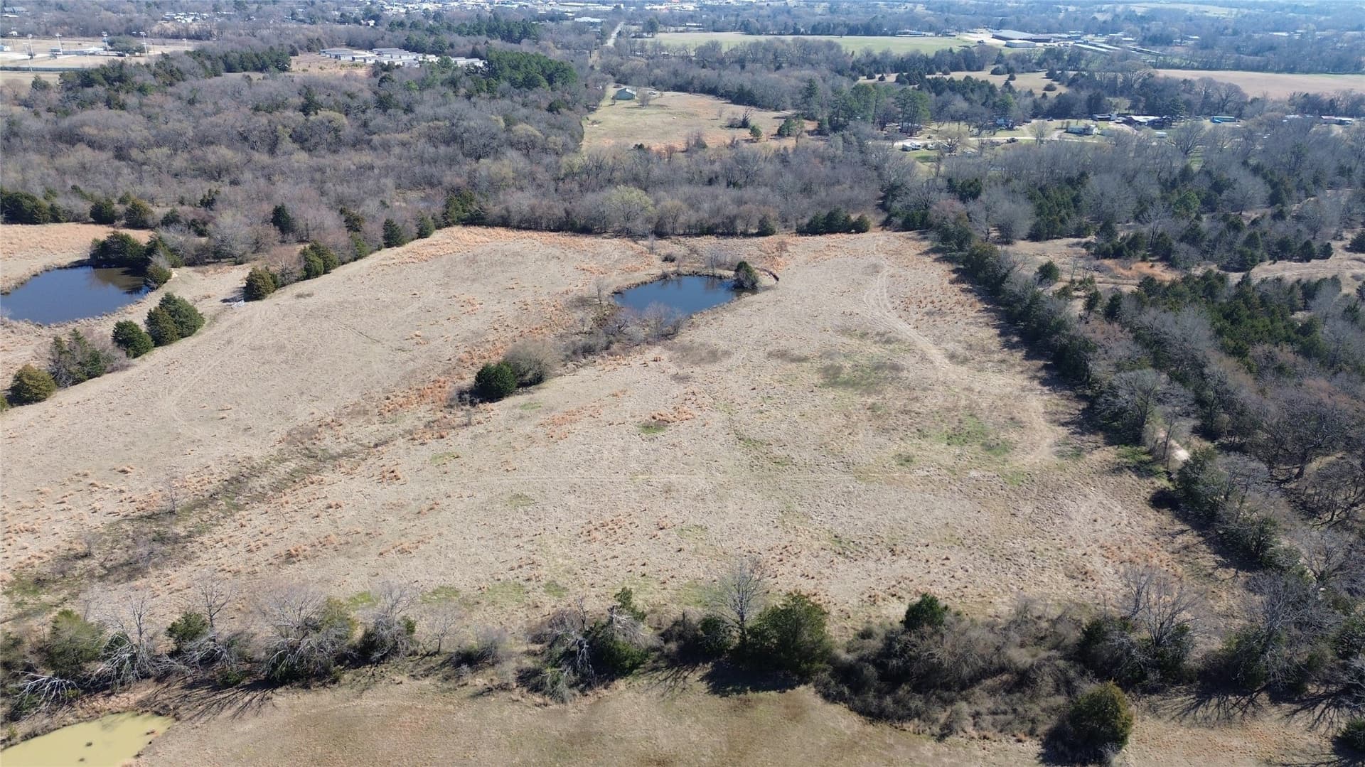 3.73 acres in Rains County - photo 8