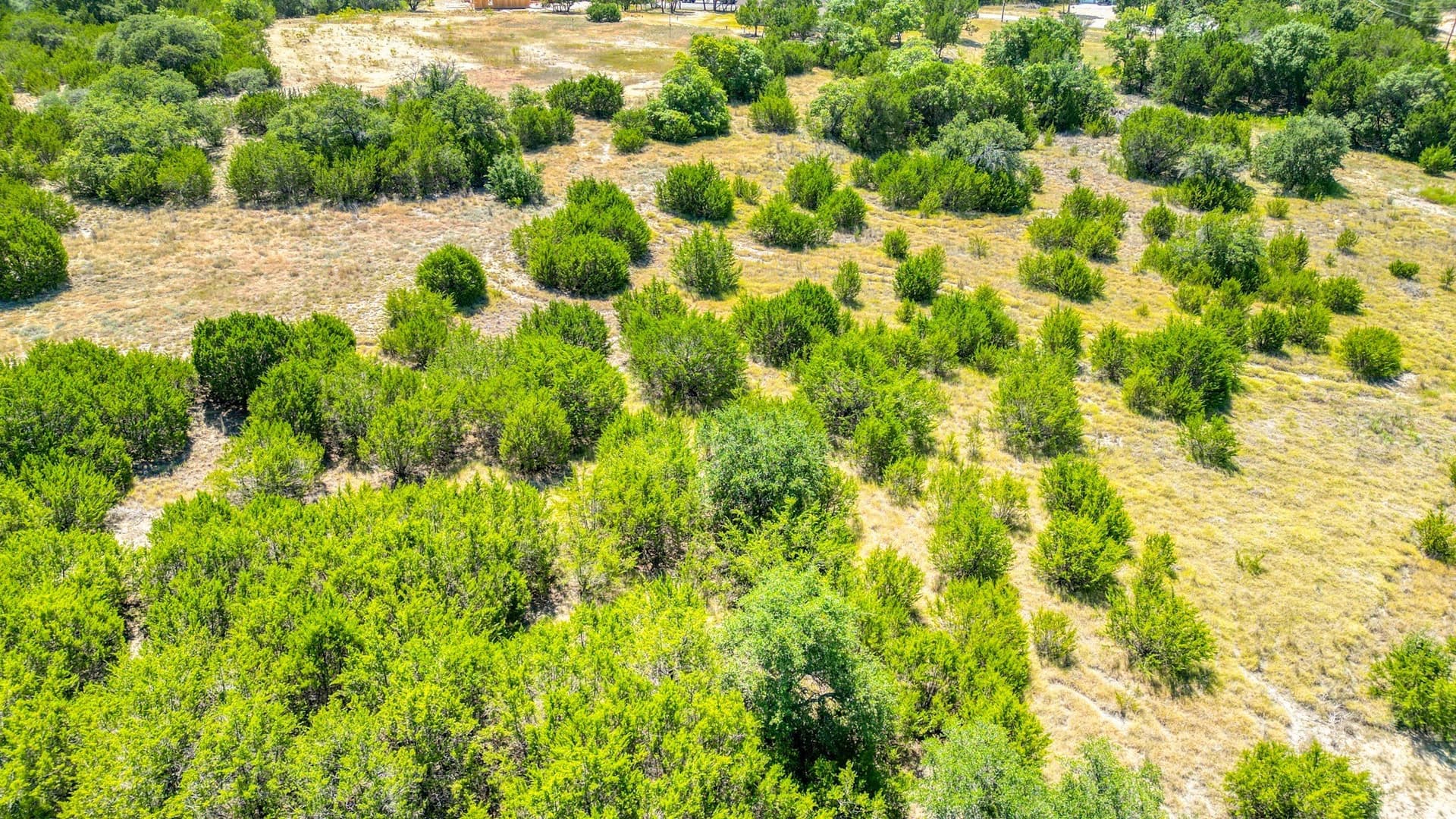 2 acres in Parker County - photo 6