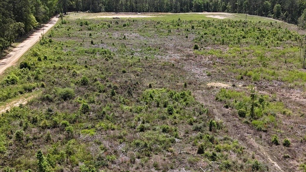 52.85 acres in Texas County featured view