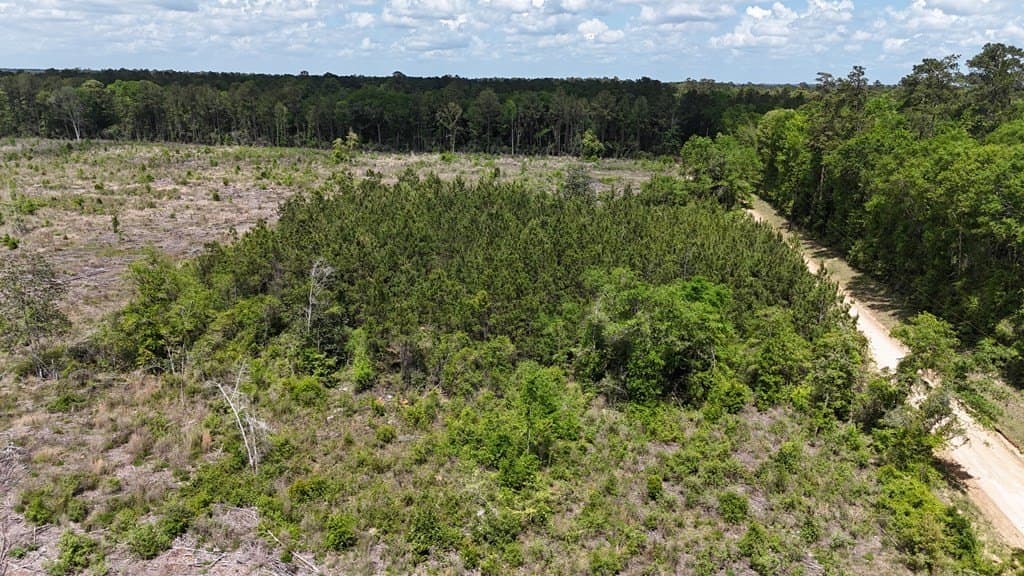 52.85 acres in Texas County gallery image 3