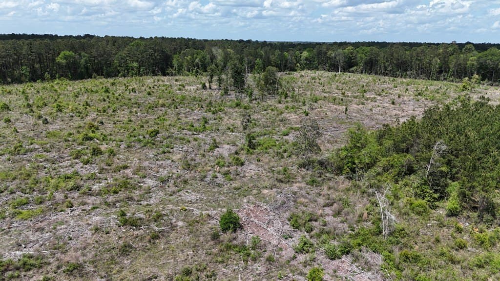 52.85 acres in Texas County gallery image 4