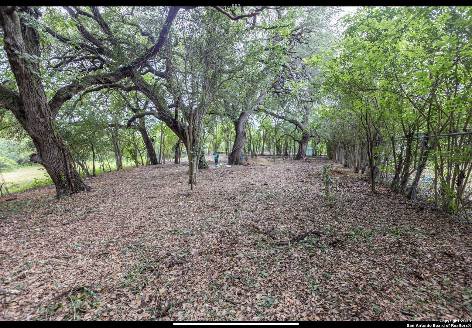 0.28 acres in Bexar County gallery image 3
