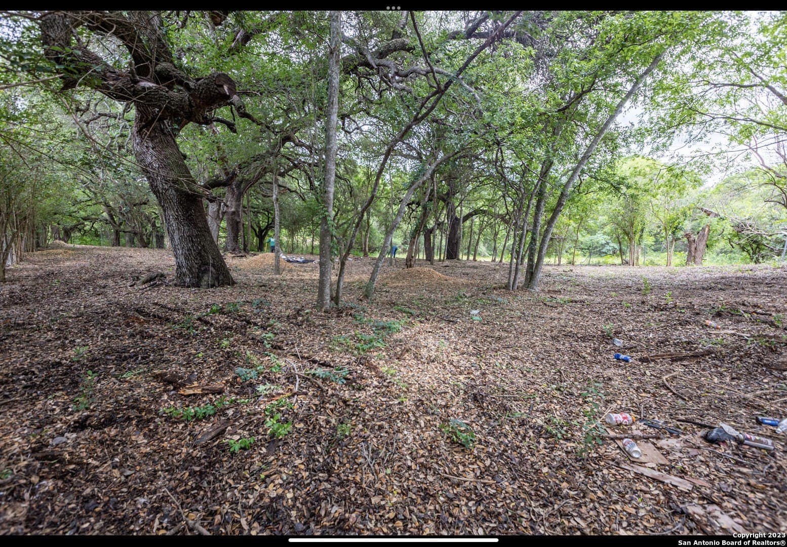 0.28 acres in Bexar County gallery image 2