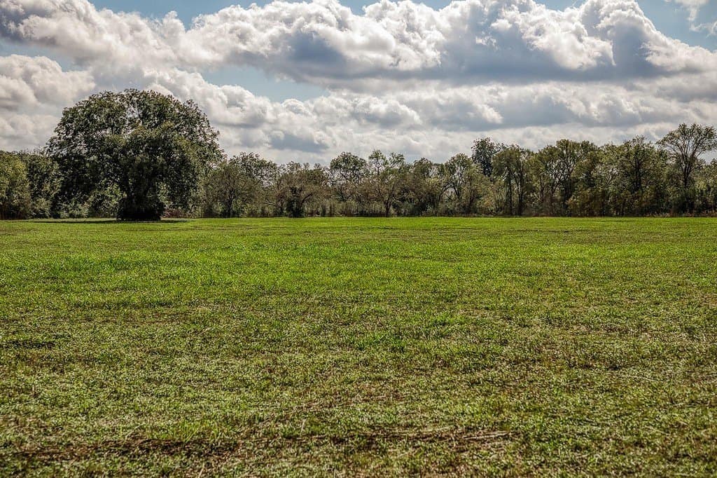 21.7 acres in Washington County - photo 21