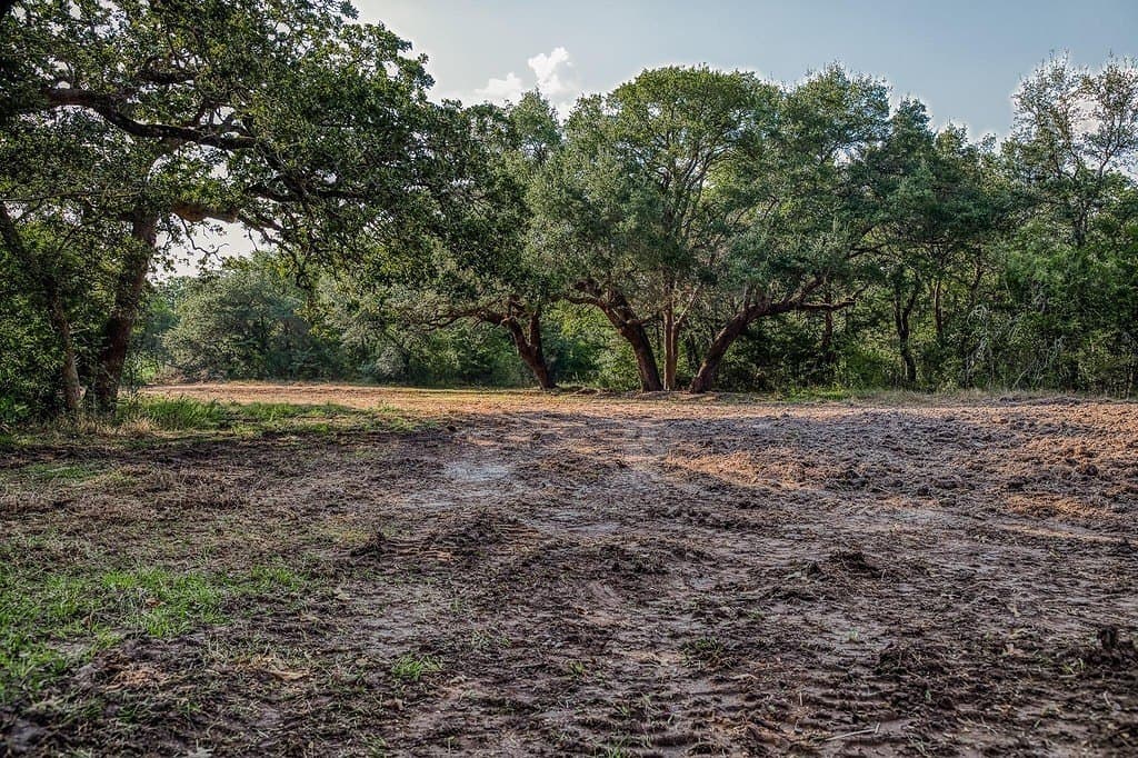 21.7 acres in Washington County - photo 10