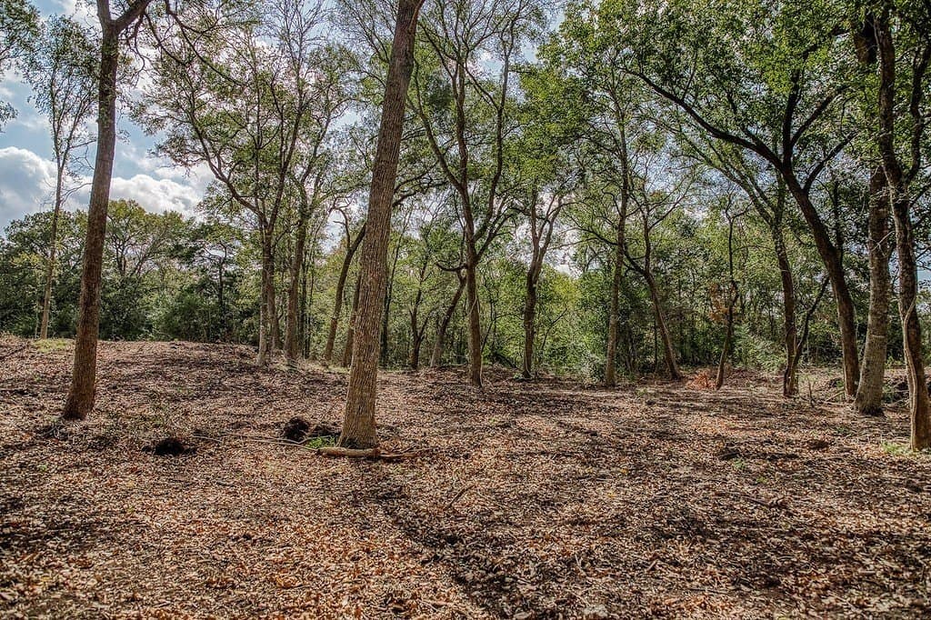 21.7 acres in Washington County - photo 12