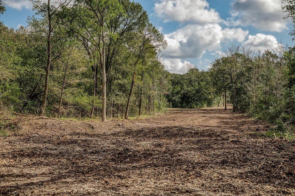 21.7 acres in Washington County - photo 19