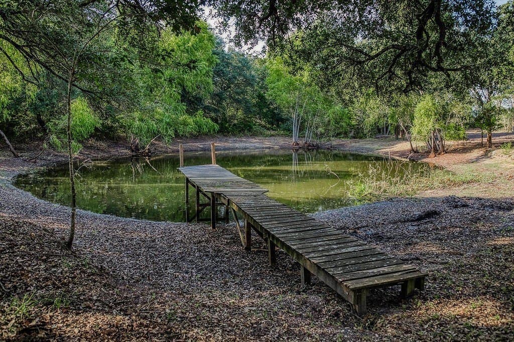 21.7 acres in Washington County - photo 7