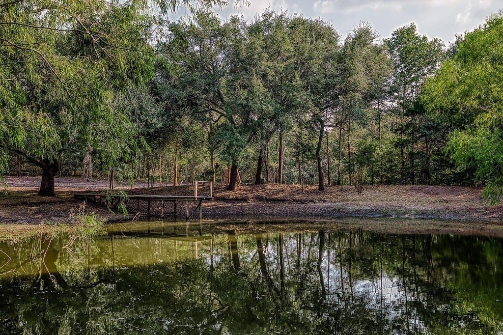 21.7 acres in Washington County - photo 6