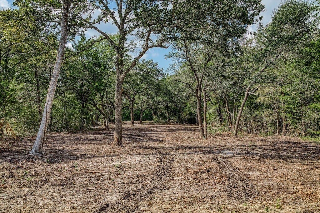 21.7 acres in Washington County - photo 2