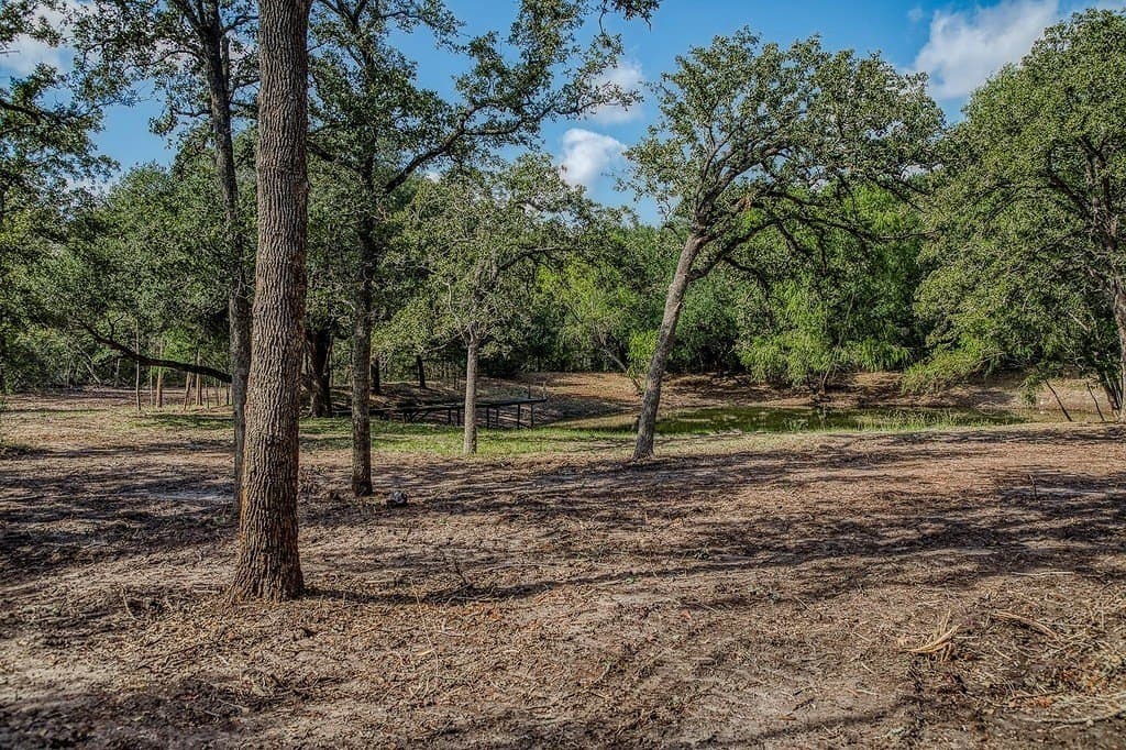 21.7 acres in Washington County - photo 3