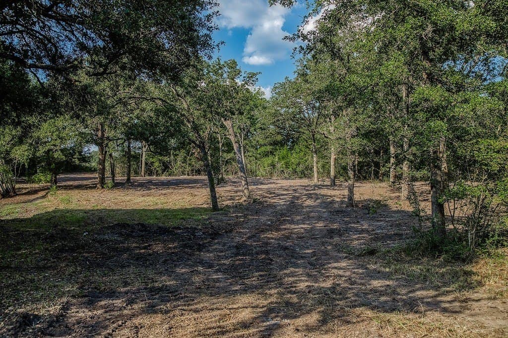 21.7 acres in Washington County - photo 8