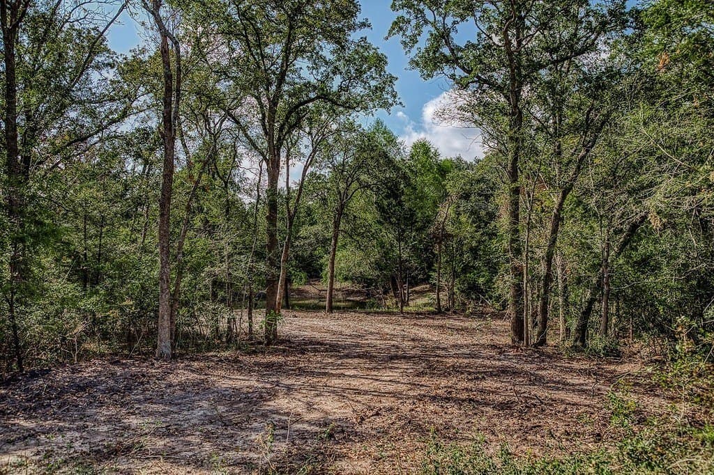 21.7 acres in Washington County - photo 4