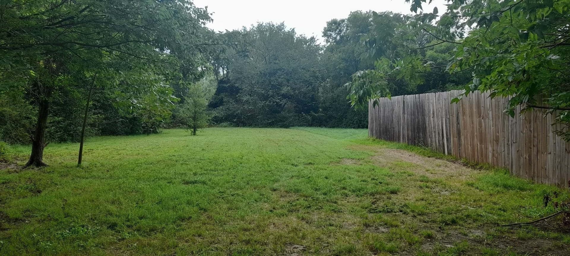 0.45 acres in Dallas County gallery image 2