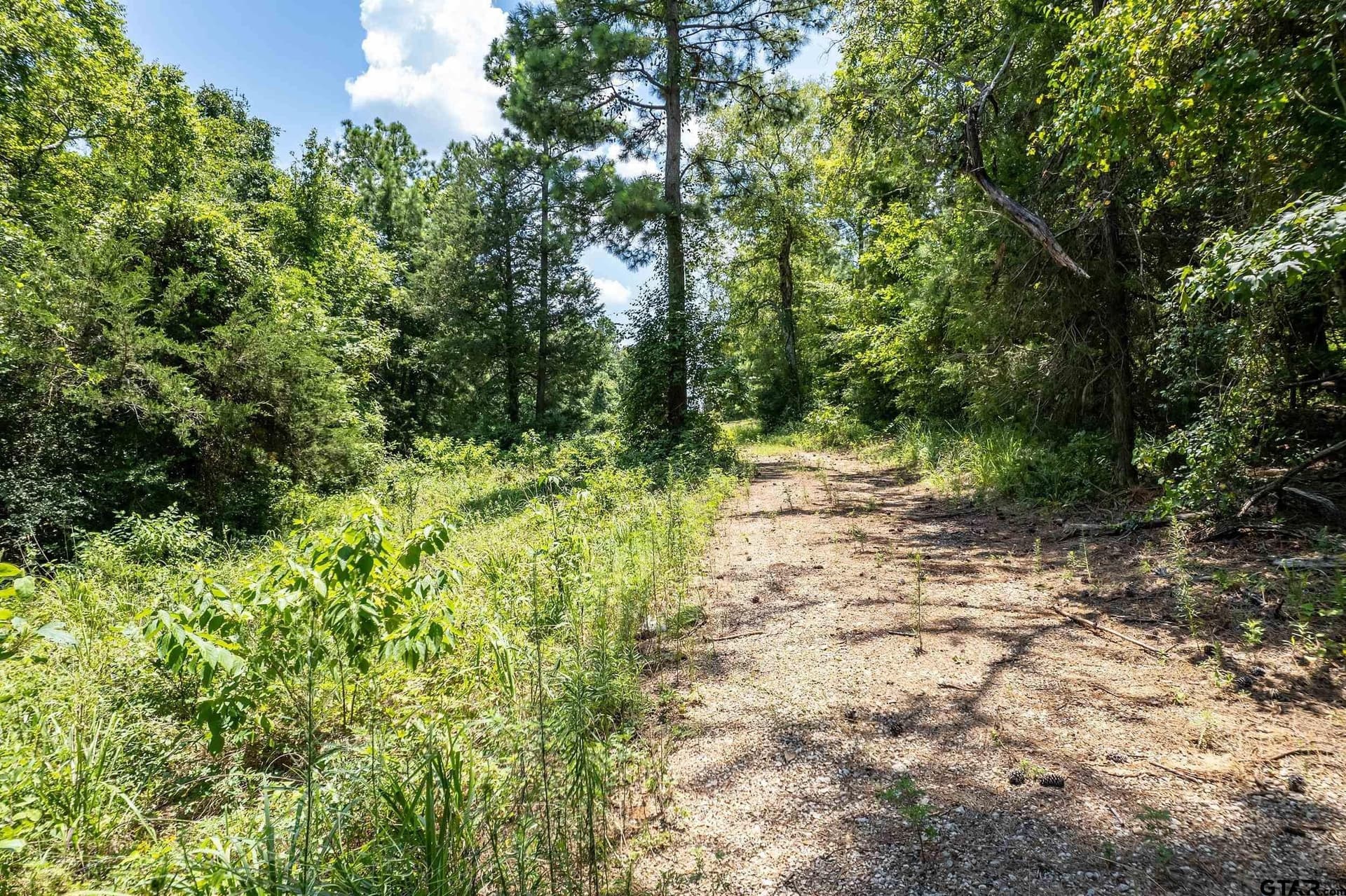 3.29 acres in Smith County featured view