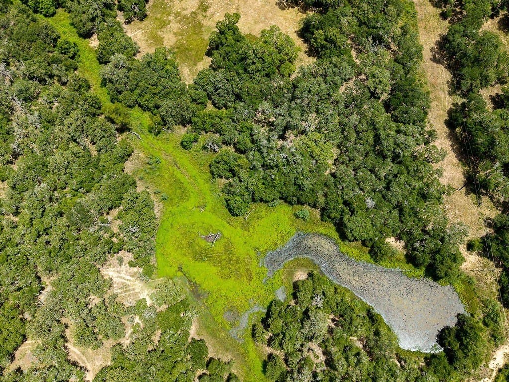 20.57 acres in Lavaca County - photo 9