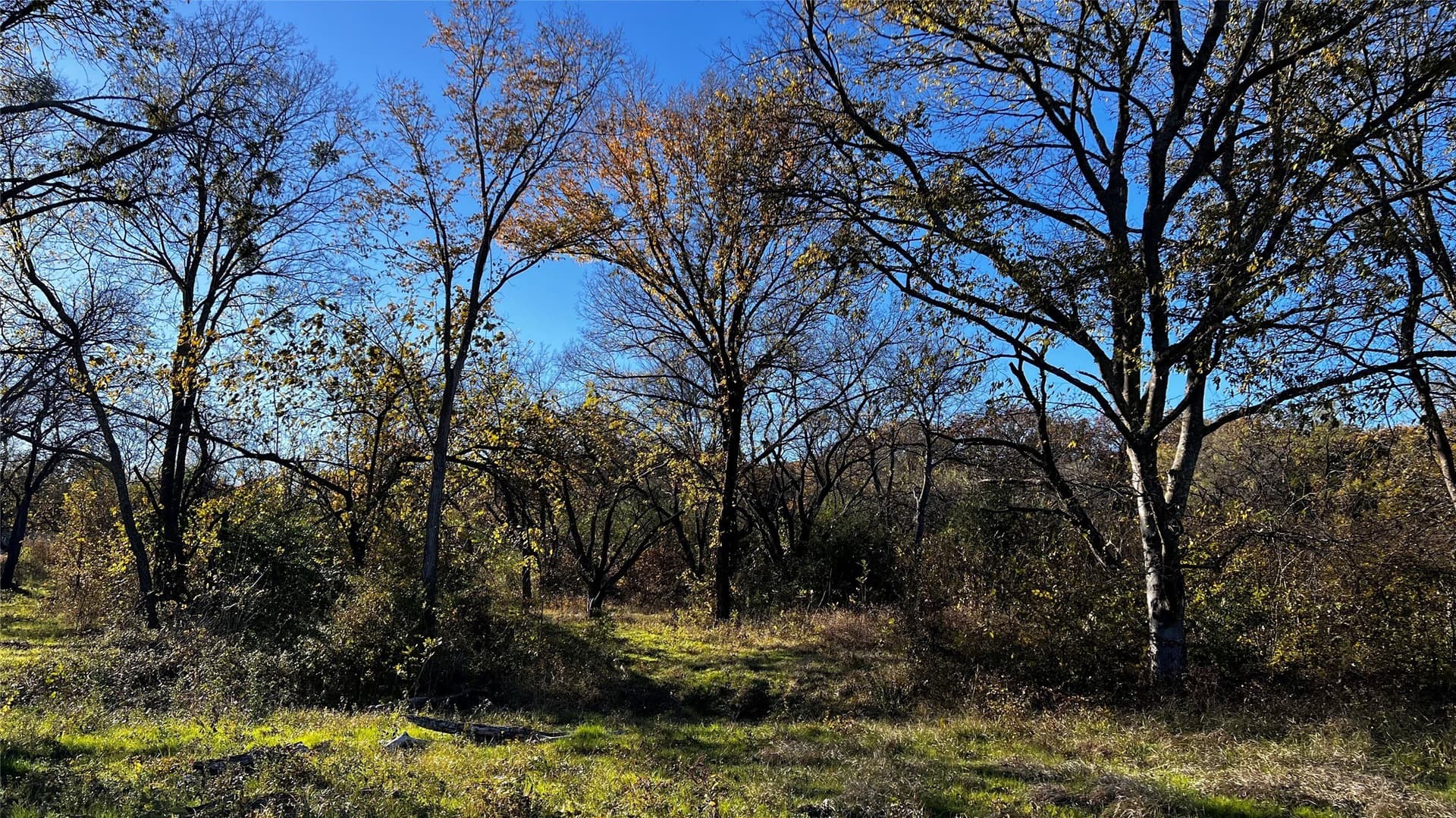 1.25 acres in Kaufman County - photo 9