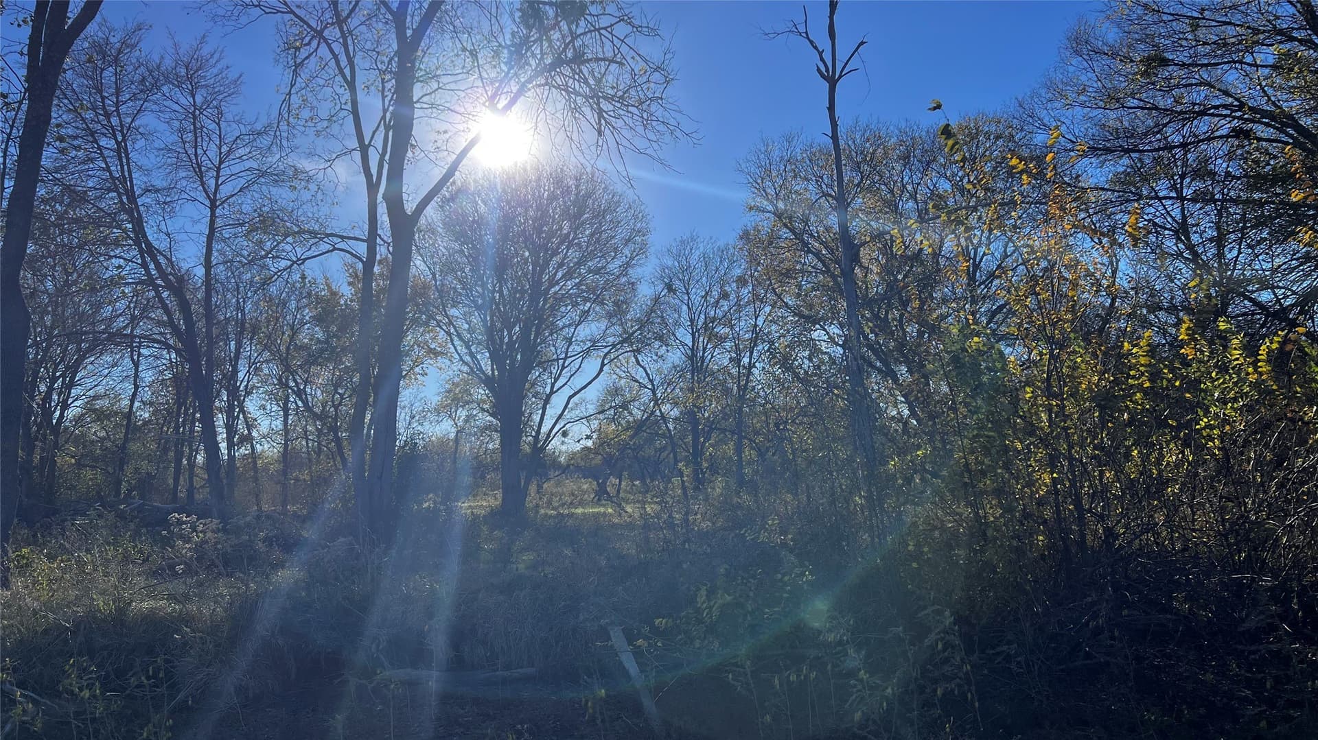 1.25 acres in Kaufman County - photo 8