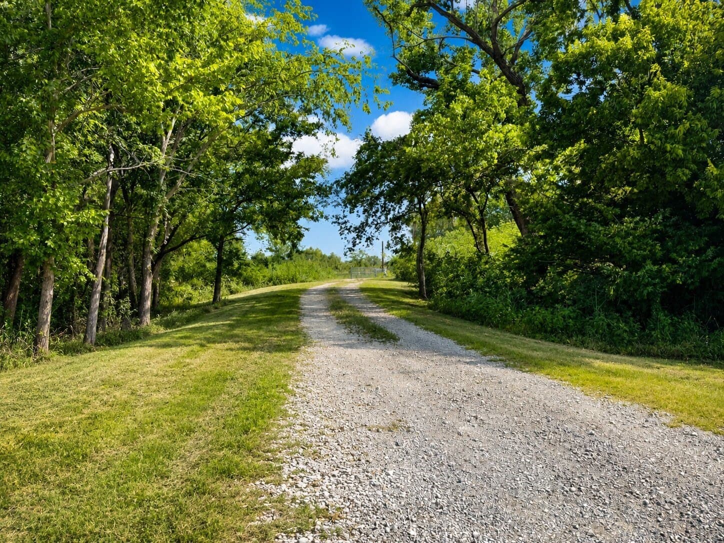78.64 acres in Grayson County - photo 7