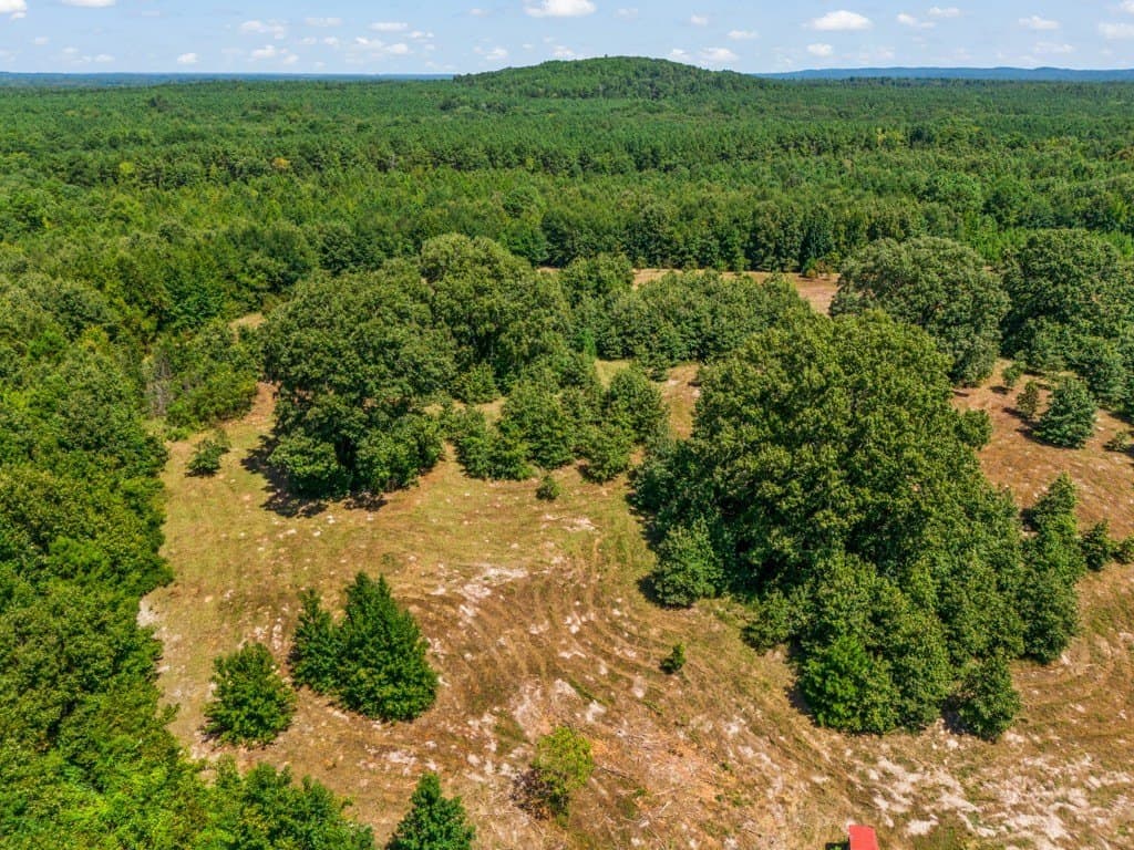 119.74 acres in Upshur County - photo 18