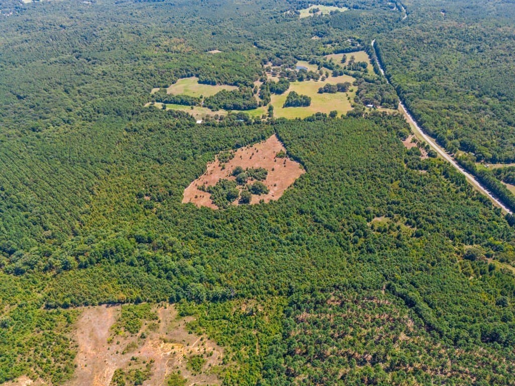 119.74 acres in Upshur County - photo 9