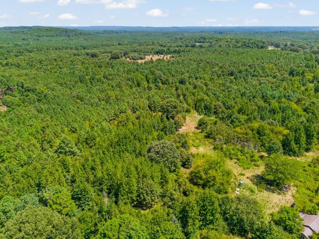 119.74 acres in Upshur County - photo 31
