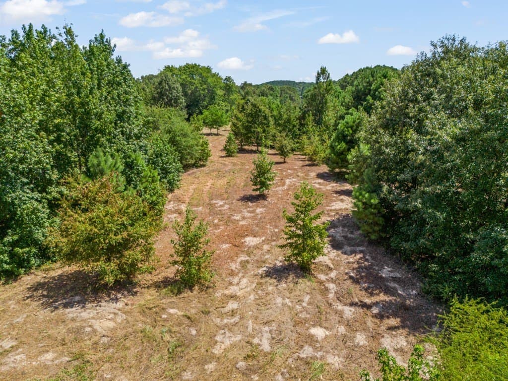 119.74 acres in Upshur County - photo 33