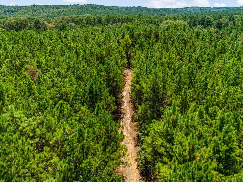 119.74 acres in Upshur County - photo 40